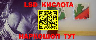 стаф Можга