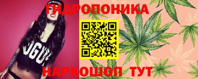 гидра Можайск