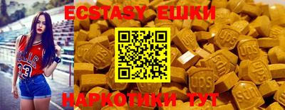 стаф Можга