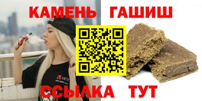 стаф Можга
