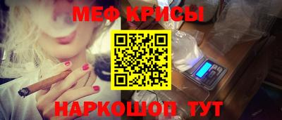 стаф Можга