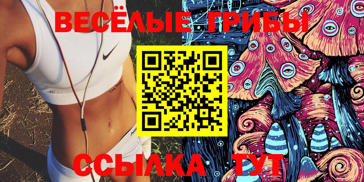 продажа наркотиков  Вход с VPN  Тихвин  Псилоцибиновые грибы Magic Shrooms  Псилоцибиновые грибы GOLDEN TEACHER 